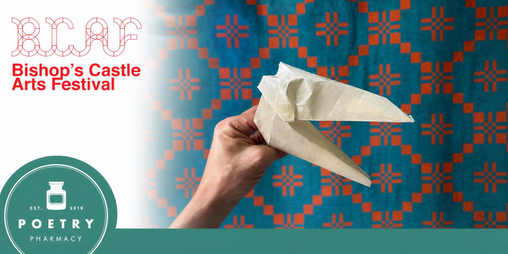 Origami Mari Llwyd for Bishop's Castle Arts Festival