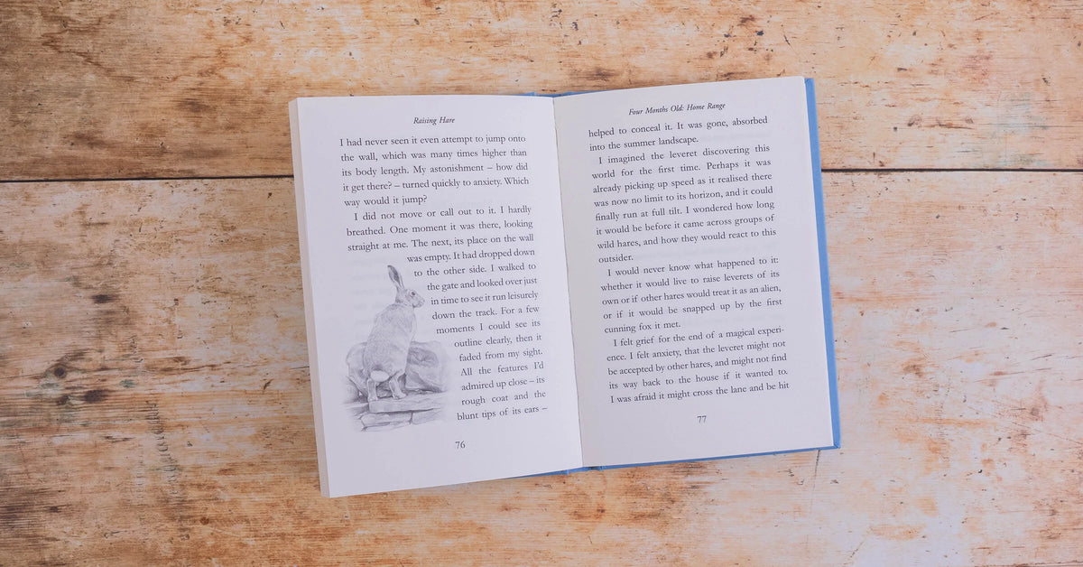 Raising Hare indie edition- signed copy